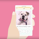 Illustration for article titled Nick Offerman voices Kiki, an American bulldog, in the latest edition of iHeavy Petting/i